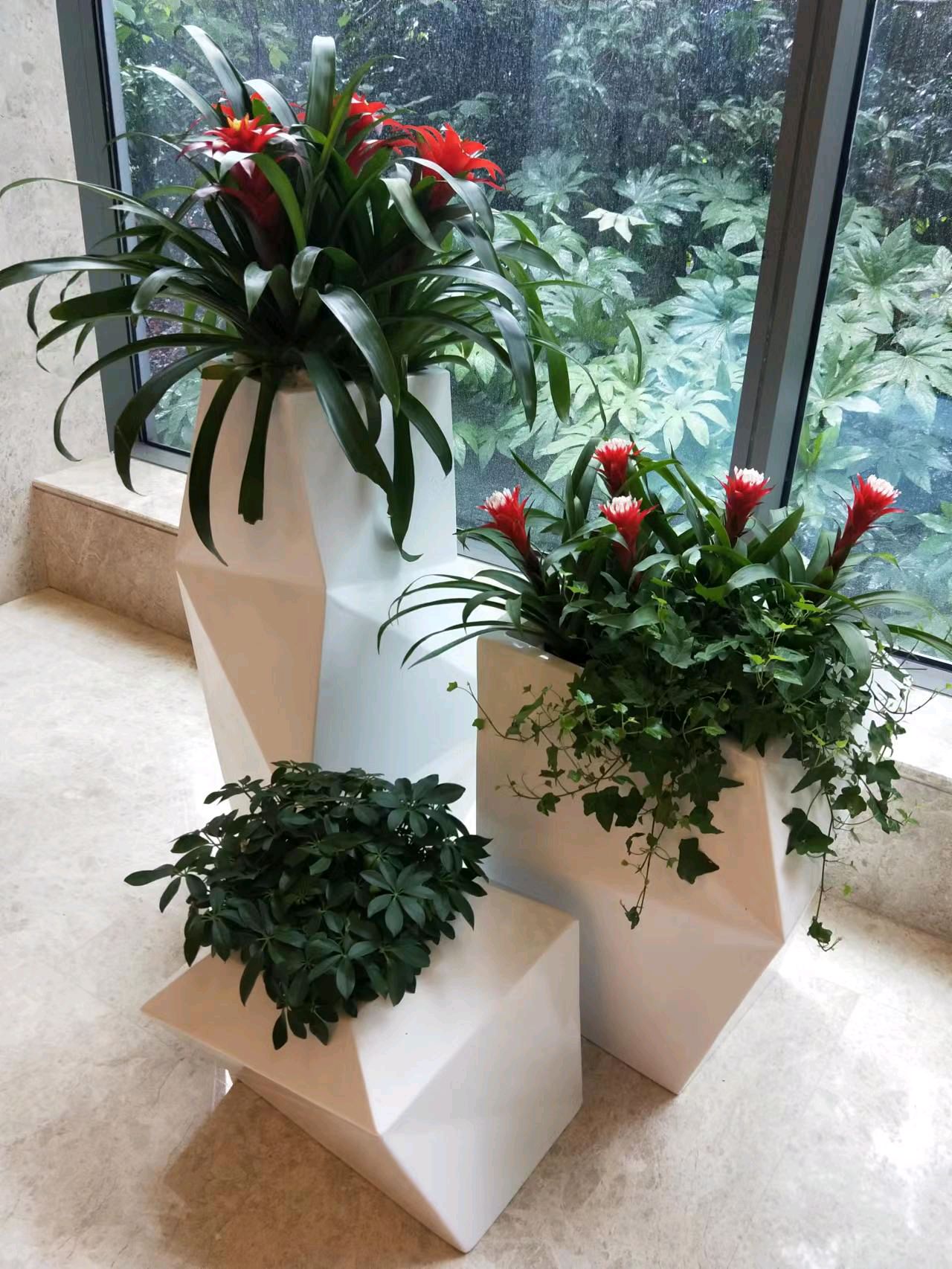 綠色生活，從專業(yè)租賃開始 一站式花卉綠植服務(wù)，打造詩(shī)意空間